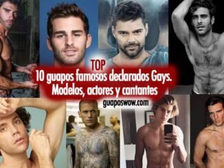 gays guapos famosos